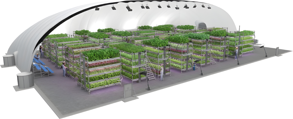 Interior view of a large modern greenhouse with tiered vertical farming racks filled with leafy greens and workers tending the plants.